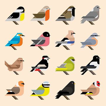 Grafische vogels - 16 Nederlandse tuinvogels in stijl (geel editie) van Tim de Leeuw