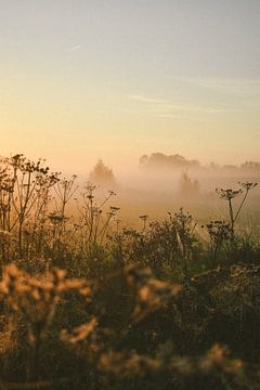 Gouden zonsopkomst mistig platteland van Jisca Lucia