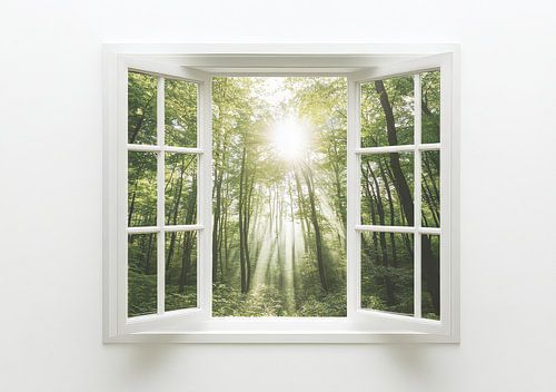 uitzicht op het bos vanuit de woonkamer