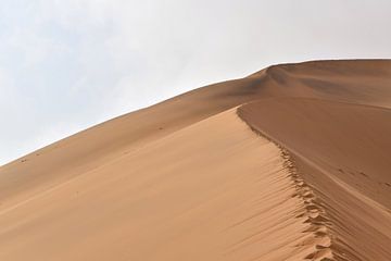 Namib Woestijn in Afrika van Achim Prill