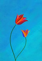 Tulipes abstraites sur fond bleu