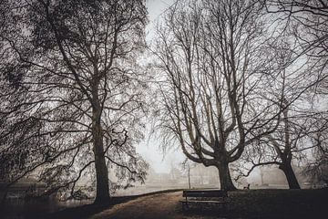 Plantsoen - parc à Leiden