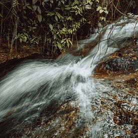 Grüne Ströme I von Insolitus Fotografie