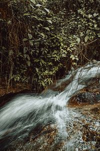 Verdant Currents I