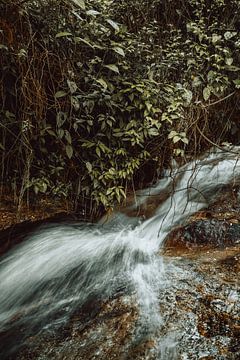 Grüne Ströme I von Insolitus Fotografie