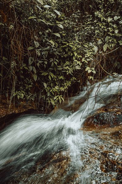 Grüne Ströme I von Insolitus Fotografie