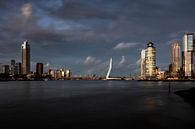 Rotterdam skyline - blauwe uur van Wouter Degen thumbnail