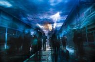 the passenger by Wim Coudenys thumbnail