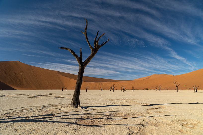 Deadvlei II von Anneke Hooijer