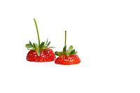 fraises