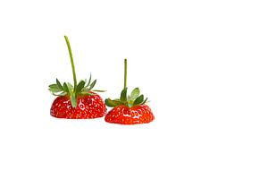 Erdbeeren