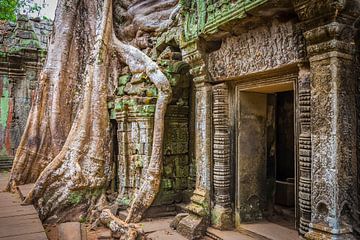 Overwoekerde tempel, Ta Prohm, Cambodja van Rietje Bulthuis