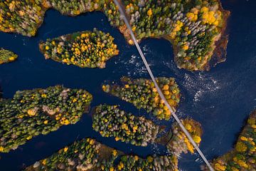 Eilandjes van herfstbomen in Zweden