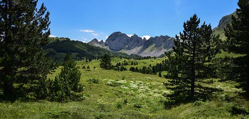 Zelengora, Bosnie-Herzégovine - II