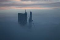 Rotterdam, pont Erasmus par Atelier Liesjes Aperçu