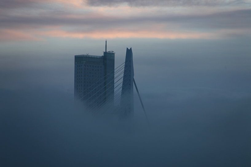 Rotterdam, pont Erasmus par Atelier Liesjes