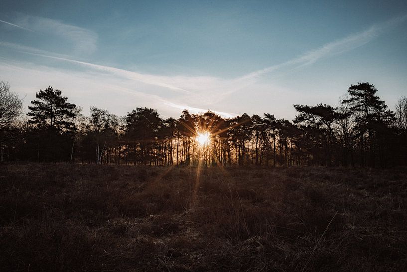 Sunrise by Simone van de Wouw