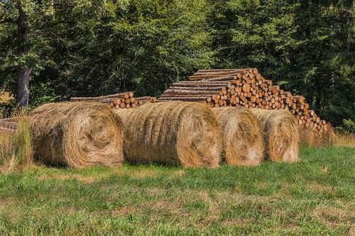 Gekapt hout en hooibalen