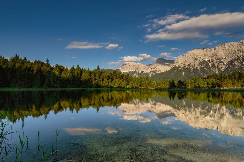Zomer aan de Luttensee van Christina Bauer Photos