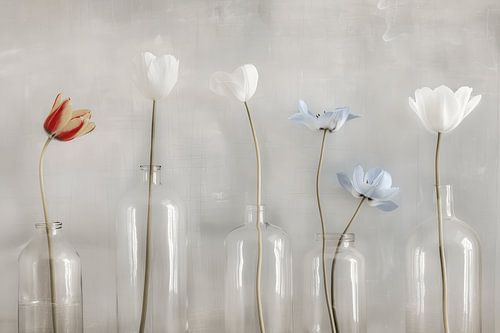 Stilleven met bloemen in Japandi stijl