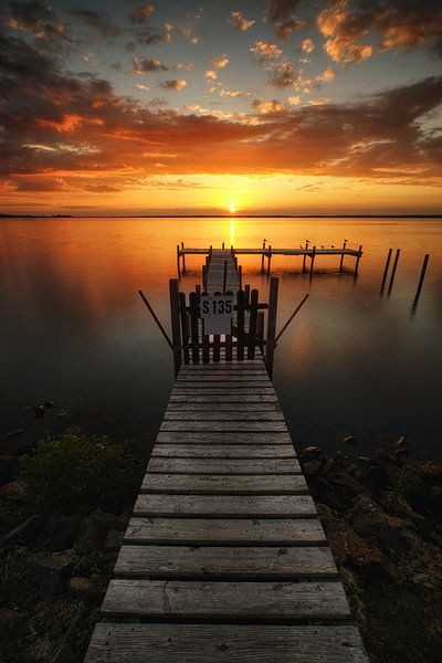 Web by Marvin Schweer