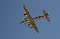 Complete chrome painted airplane of Redbull wings by Quint Wijnhoven thumbnail