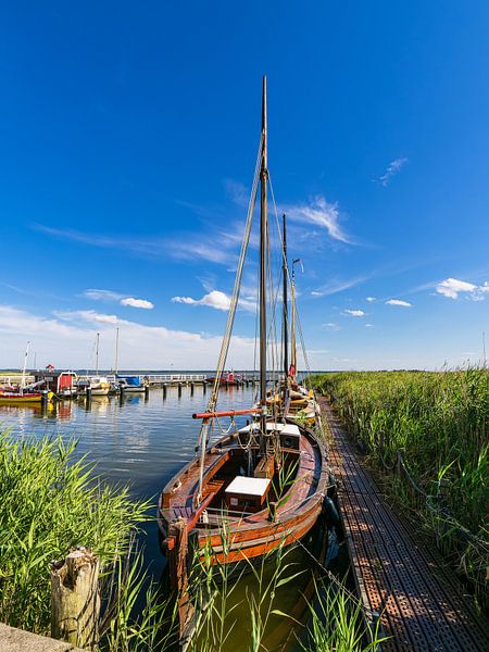Segelschiffe im Hafen von Wieck auf dem Fischland-Darß von Rico Ködder