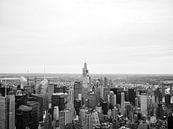 Skyline von New York von Raisa Zwart Miniaturansicht