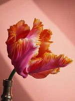FLOWER POWER PAPAGEI TULPE IBIZA BLOOM IBIZA RAISA