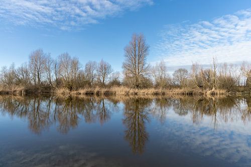 Spiegeling winterse zaterdagmorgen