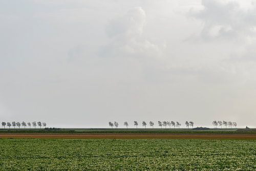 Zeeland. van Don Fonzarelli
