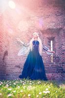 portret dame met blauwe jurk