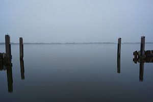 Nieuwkoopse Plassen van Michel van Kooten