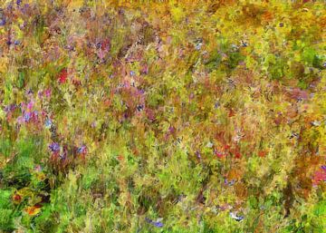 Wild Flower Meadow Impressions