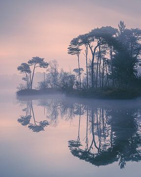 Zonsopkomst bij de Oisterwijkse Bossen en Vennen van Henk Meijer Photography