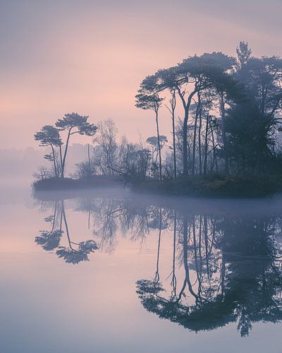 Zonsopkomst bij de Oisterwijkse Bossen en Vennen