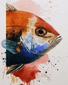 Colourful fish by Studio Allee