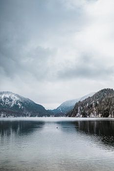 Alpsee | Winter in the Alps