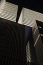 the Rotterdam by Andrew Chang thumbnail