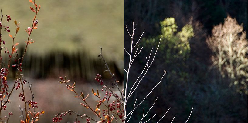 Herfst in Georgie, een tweeluik van Anne Hana