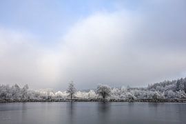 Winter landscape Schwackenreuter Seen with hoarfrost - Landkreis Konstanz by BlattArt - Christine Horn