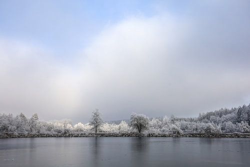Winterlandschap Schwackenreuter gezien met rijp - Landkreis Konstanz