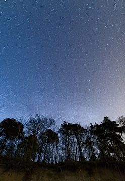 Klarer Nachthimmel voller Sterne, umrahmt von Bäumen von Yevgen Belich