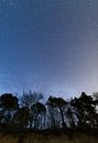 Klarer Nachthimmel voller Sterne, umrahmt von Bäumen von Yevgen Belich Miniaturansicht