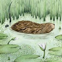 Children's room: 5 - 8 years