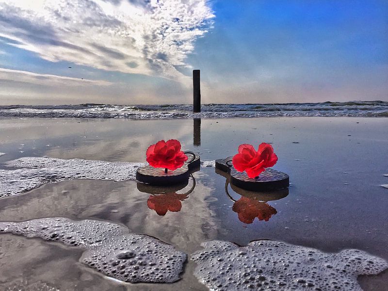 North Sea Flip flops   by Lisette LisetteOpTexel
