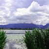 Hopfen am See im Allgäu Bayern Deutschland von Karl-Heinz Petersitzke
