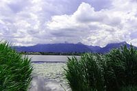 Hopfen am See in Allgäu Beieren Duitsland
