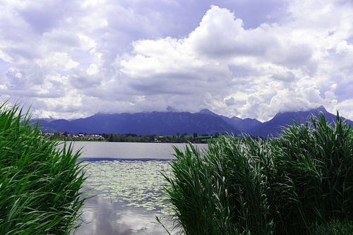 Hopfen am See in Allgäu Beieren Duitsland