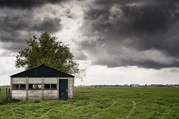 Polder